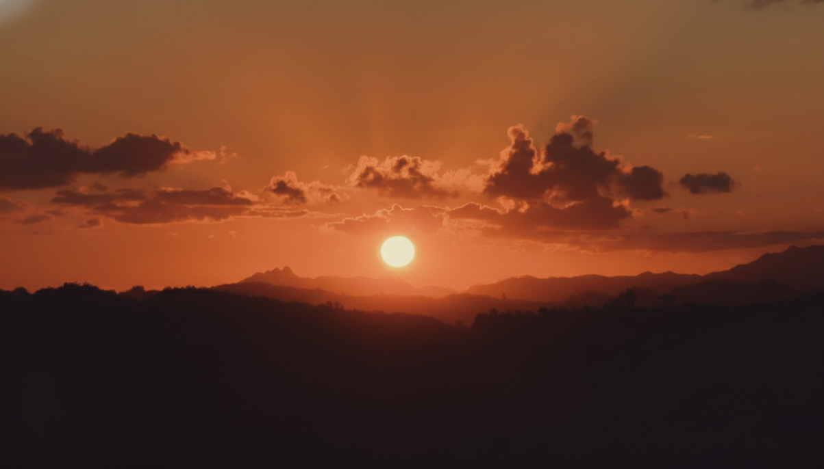 The Barn Refuge Landscape